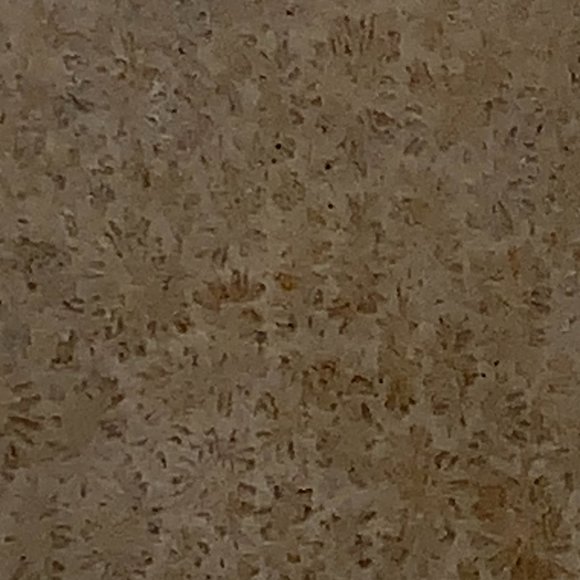 Fossilized Coral Rectangular Pendant - Picture 9 of 10